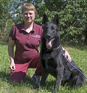 Iris meets one of her German Shepherd patients for a pre-op assessment for Permanent Acupuncture.